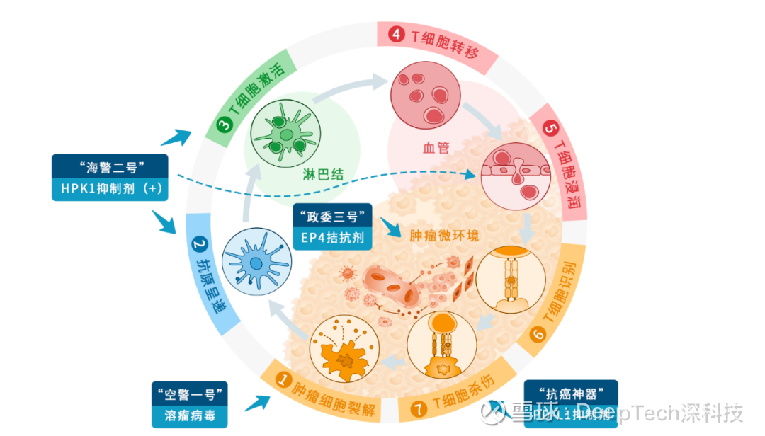 这家中国创新药企提出"鸡尾酒疗法"治.