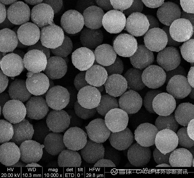 纳微"十年磨一剑"——用于化学发光免疫检测的高性能单分散磁珠正式