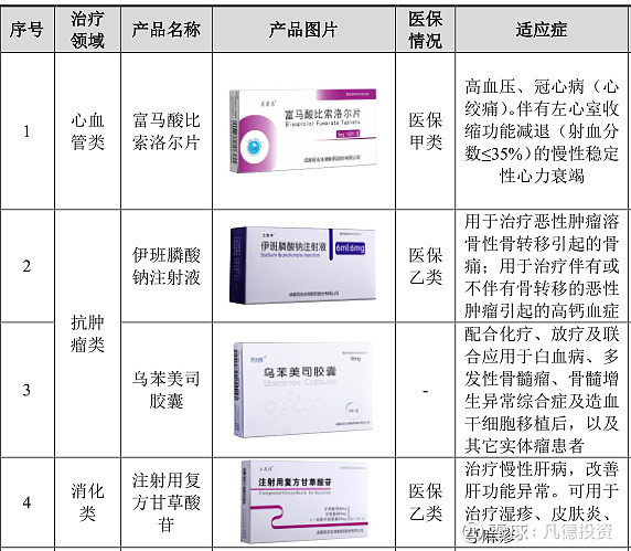 兴图新科与神州数码达成深度业务合作