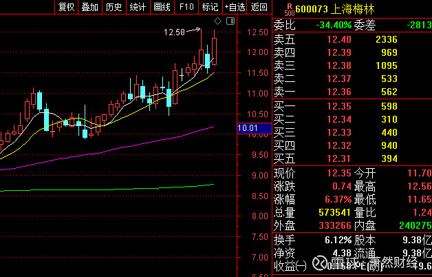 消费食品界的龙头——上海梅林(sh600073)股价持续飙升,未来投资引来