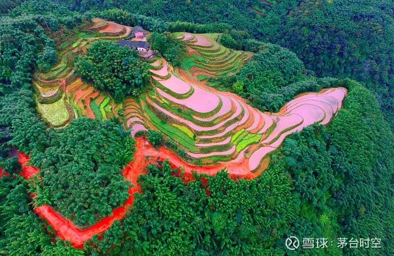 8月22日,央视直播贵州,品茅台佳酿 这里,山地和丘陵占全省90%以上面积