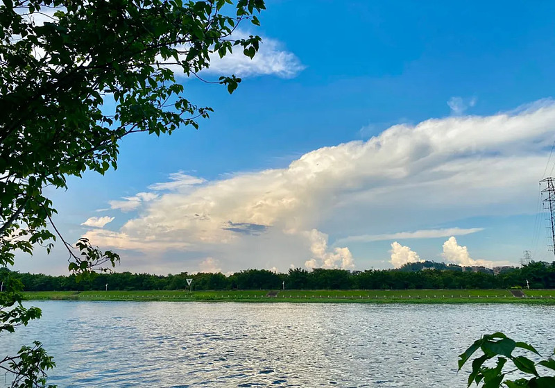 金沙洲 拍摄:佛山楼市发布 而沉香大桥建成后,从金沙洲可直达白云