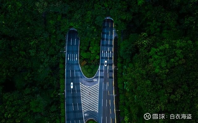 宇宙中心照母山居然还有性价比超高的临湖别墅