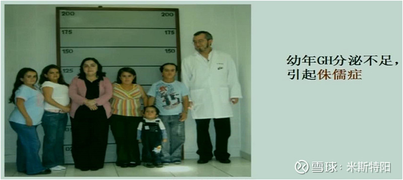 注:甲状腺激素,也会引起身材矮小,和侏儒症的区别是智力水平不正常