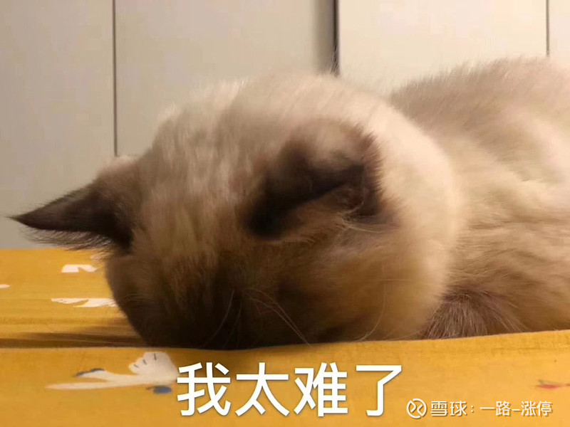9月终于来了,2020年还有不到4个月就结束了呢,不知道大家年初许的