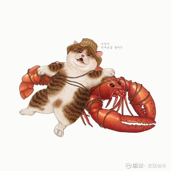 一只每天生活在快乐梦幻中的韩国肥猫好让人羡慕