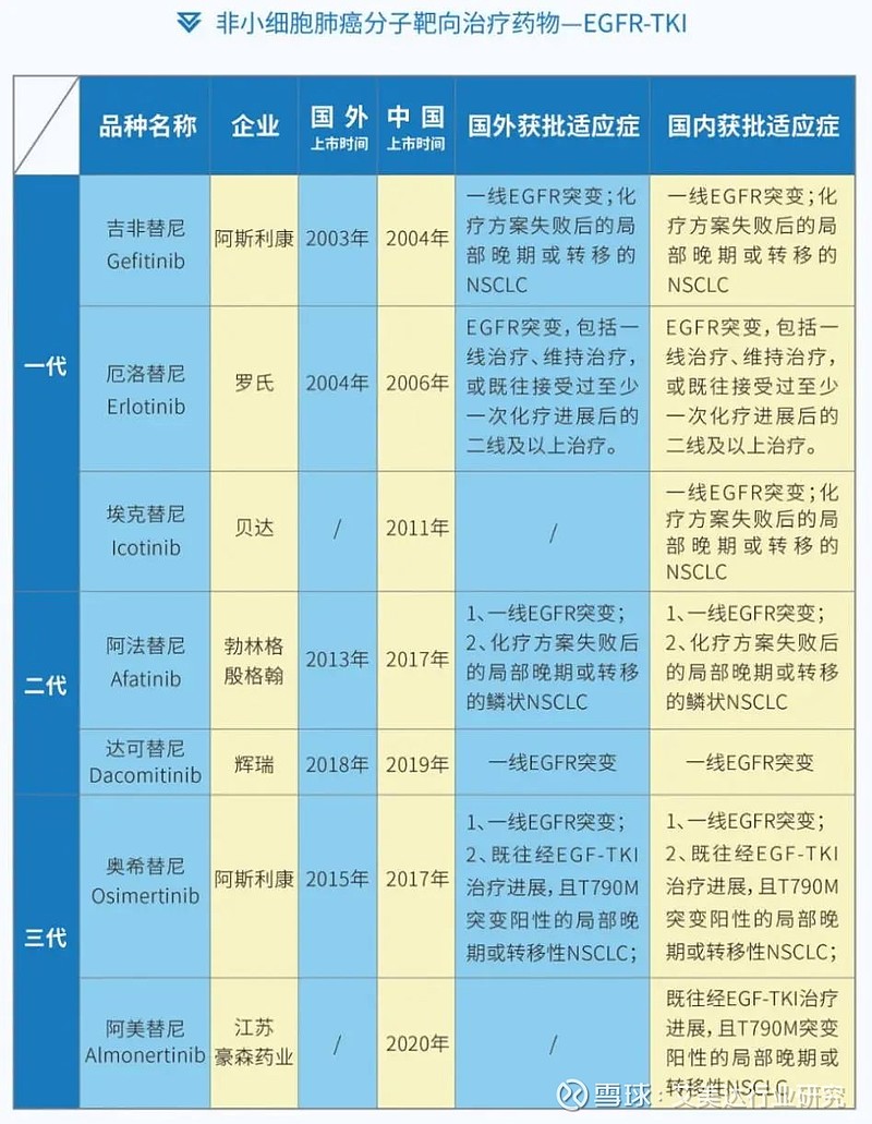 除了豪森的阿美替尼,目前非小细胞肺癌分子靶向药物有吉非替尼,厄洛替