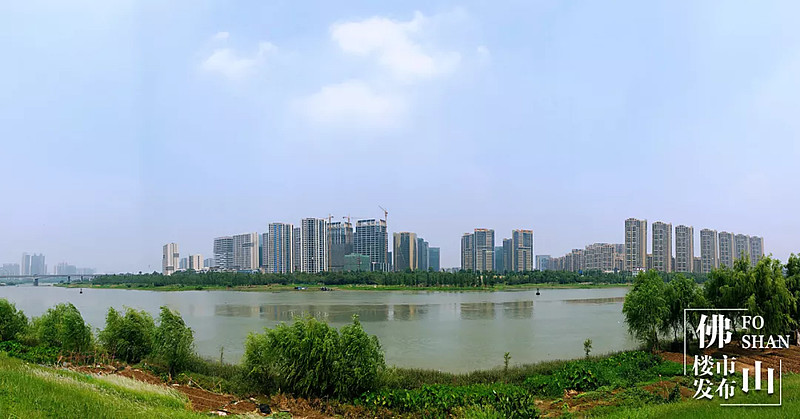 举全力押宝凤翔湾,这是禅城新10年的"赌注" 5月规