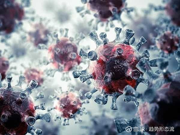 卫星-v新冠病毒疫苗已经在俄联邦卫生与社会发展监督局多个实验室