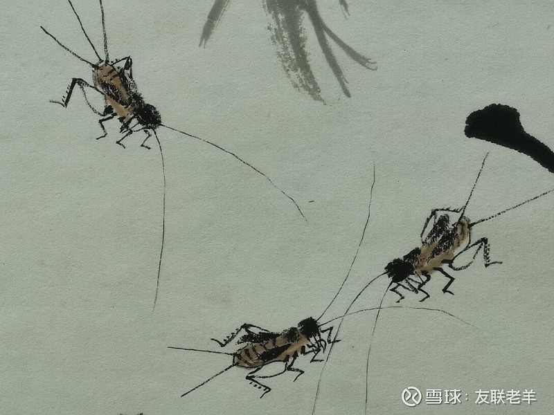 齐白石画的蟋蟀藏于湘潭白石纪念馆
