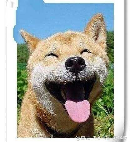 $东方明珠(sh600637)$9.