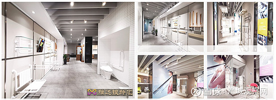 蔬菜栽培怎样补钙