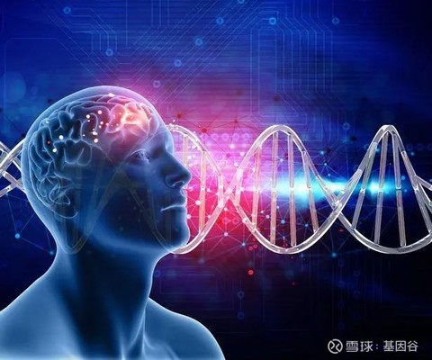 科学家在男性大脑中发现了一种控制性欲的基因科学家在男性大脑中发现了一种控制性欲的基因 美国研究人员称 这种名为芳香化酶的基因调控着男性 的性行为 药物可能会针对这