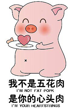 我不是五花肉是你的心头肉