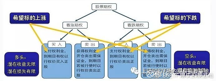 關於etf期權