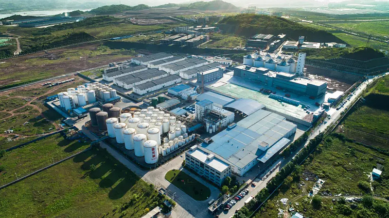 益海嘉里粮油王者c位登创金龙鱼畅游注册时代新海洋