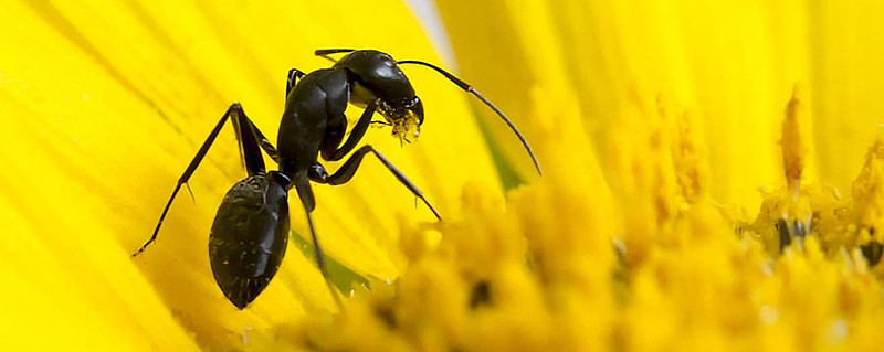 大家接到蚂蚁金服的电话了么 昨天骑自行车去买菜的路上突然电话响了 停下车拿起来一看 是0755开头的 大概又是推销电话吧 结果是机器人语音 说蚂蚁
