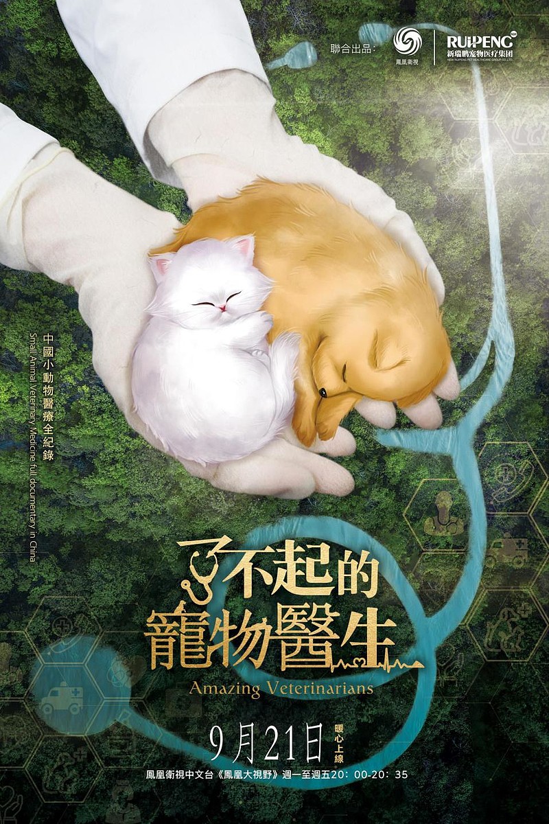 纪录片《了不起的宠物医生》开播,感谢为宠物生命健康殚精竭虑的他们