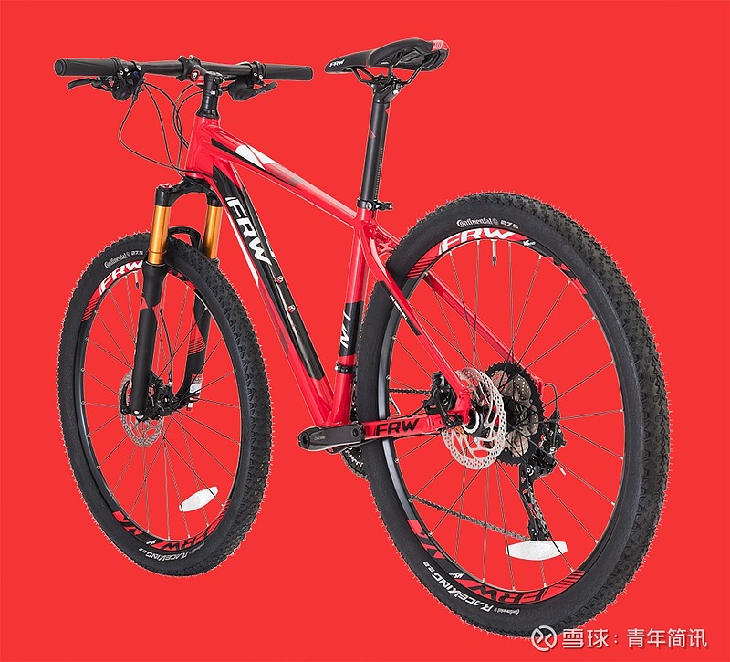 纳米体育2021中国山地自行车排名10大国产变速自行车品牌排行榜(图1)
