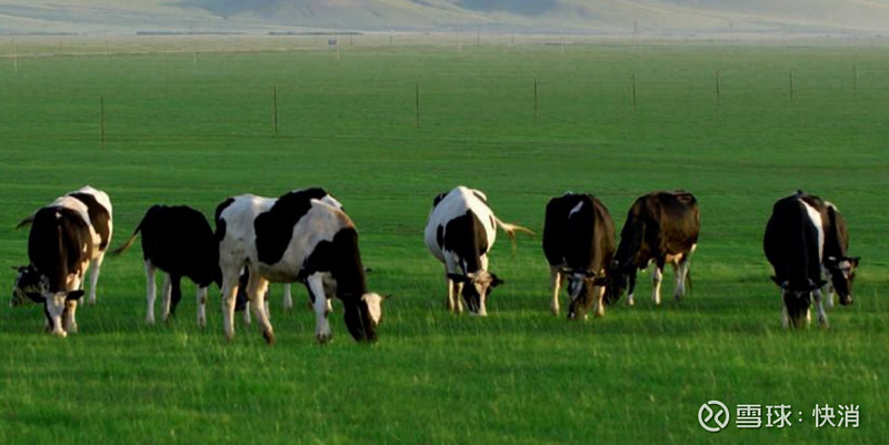 优然牧业将赴港ipo伊利蒙牛上演抢牛大战