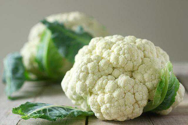 吹牛报道 花菜又名菜花 花椰菜 椰花菜 球花甘蓝 洋花菜 花菜的原产地不是中国 而是地中海沿岸 花菜引入我国的时间不