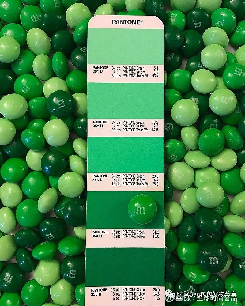 绿色搭配色板图片