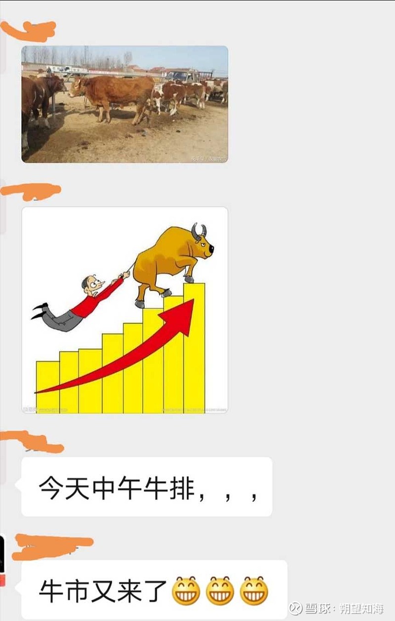 牛市又回来了