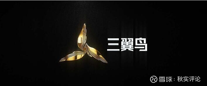 秋实评论三翼鸟为用户而生必将撬动未来