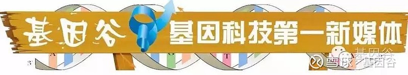 雪球