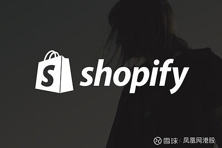 康思源电商巨头挑战者shopify