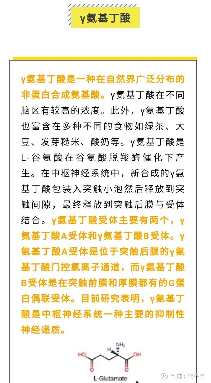 揭開兒童發育面紗探尋γ氨基丁酸的奧秘