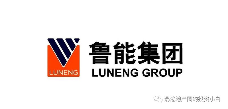 鲁能怎么用广宇发展这个上市平台