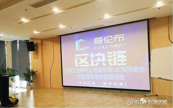 哥伦布cat崩盘神童苏道仙赵丙阳等八人被依法批捕