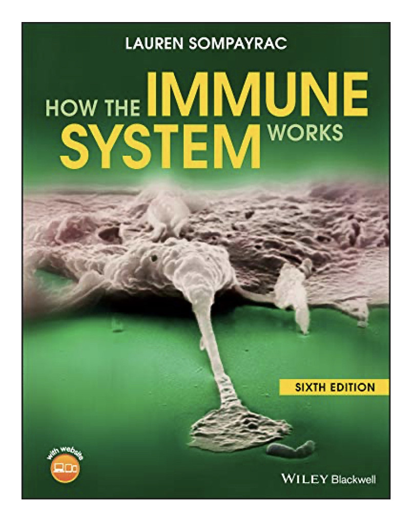 今天买了本书:how the immune system works,详细介绍人体免疫系统
