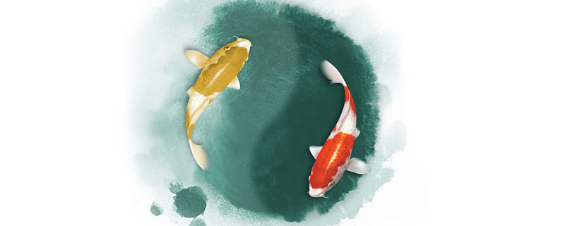 风水轮流转明年到谁家