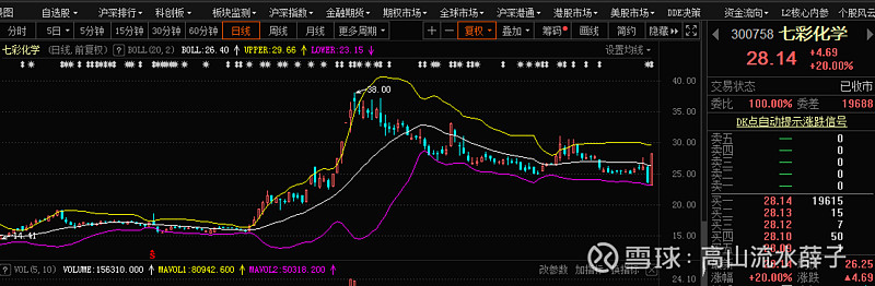 "蛇吞象"后遗症显现,百亿债务压得一家明星公司喘不过气来. #股民