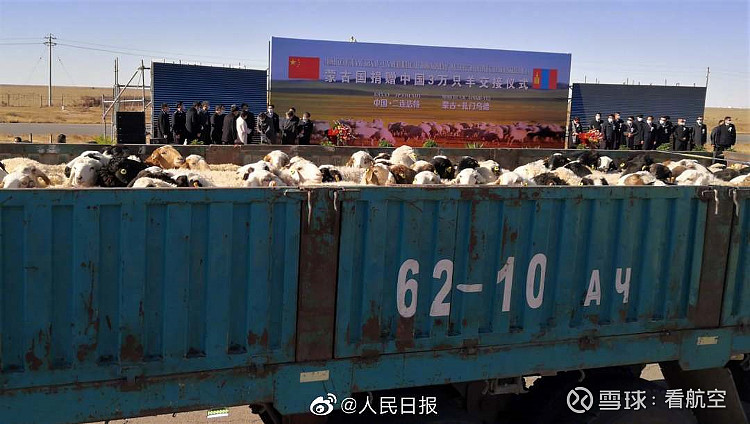 长途运输羊需要注意什么