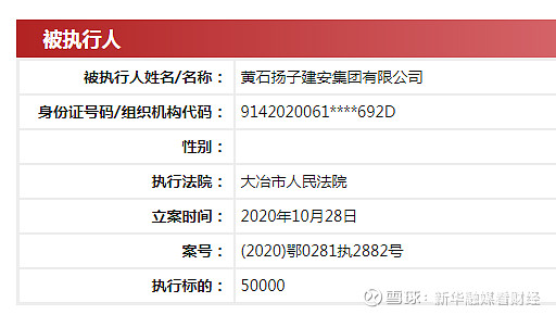 据中国执行信息公开网消息,扬子建安集团于2020年10月28日被大冶市