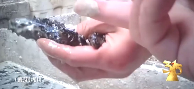 一秒验真参!复购率提升47.5%,竟是因为这张“数字身份证”-科记汇