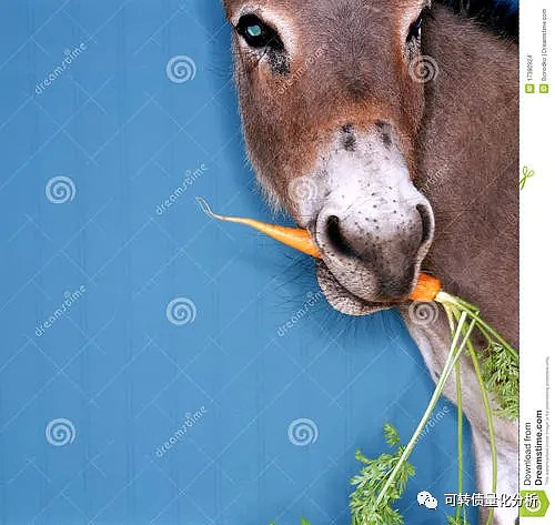 驴说,我每天都吃某个农户人种的胡萝卜,于是乎众人就研究这个生气的胡