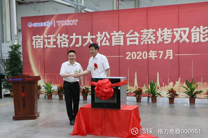 子公司简介——格力大松(宿迁)生活电器有限公司