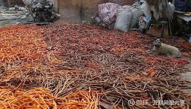 辣条是卫生纸做的,是地沟油泡的,是在厕所熏成重口味,甚至由炼尸油制