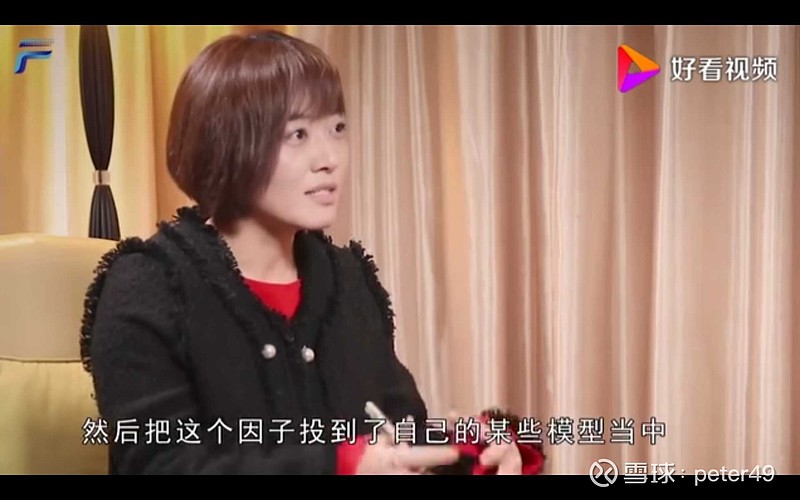 洪灏2019采访截图主持人很美 主持人很美@不明真相的群众 @洪灏的中国