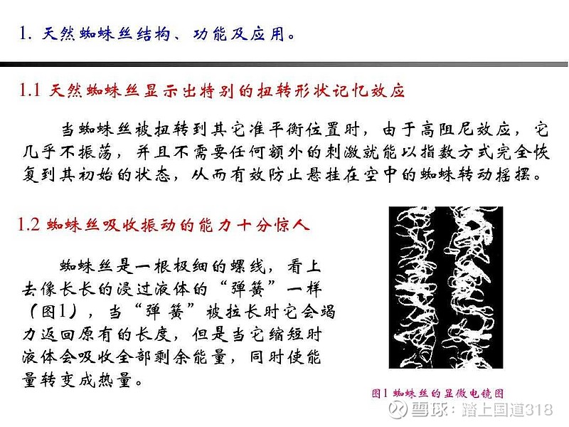 基因工程 黑寡妇蜘蛛仿生丝应用市场转 聊一聊最近风很大的黑寡妇蜘蛛仿生丝 手机复禾健康 网页链接最近在市场上关注到了一个很火也很有意思的新技术 号 基因工程 黑寡妇蜘蛛仿生丝应用市场转 聊一聊最近风很大的黑寡妇蜘蛛仿生丝 手机复禾健康 网页链接最近在市场上关注到了一个很火也很有意思的新技术 号