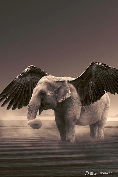 $中国平安(sh601318)$ 谁说大象不会飞?飞起来遮天蔽日.