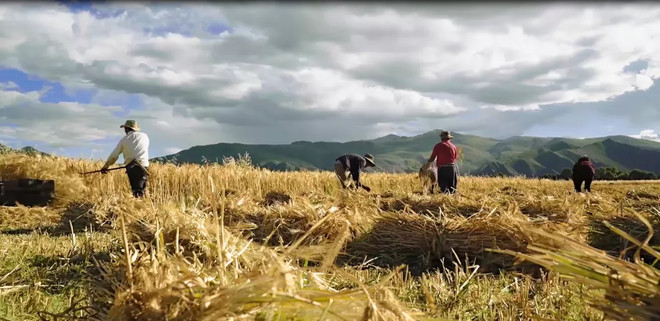 CoCo都可 | 引领数字化茶饮时代-科记汇