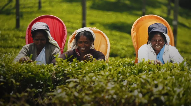 CoCo都可 | 引领数字化茶饮时代-科记汇