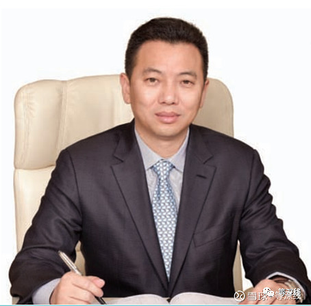 图片来自蓝鼎国际年报 中国经营报《等深线》记者 万山 万佳丽 郝成