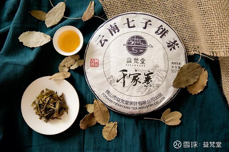 云巅之上的千家寨 | 2018年千家寨古树饼茶
