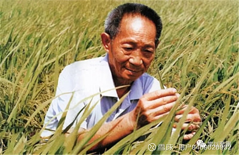 1214复旦大学学者沙烨中国能有今天靠的是无法被定价的80年牺牲红利